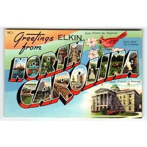 Greetings From Elkin North Carolina Large Letter Linen Postcard Cardinal Bird